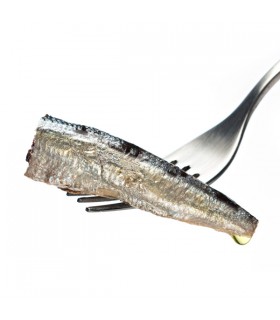 Sardinillas de las Rías Gallegas